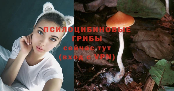 спиды Медногорск