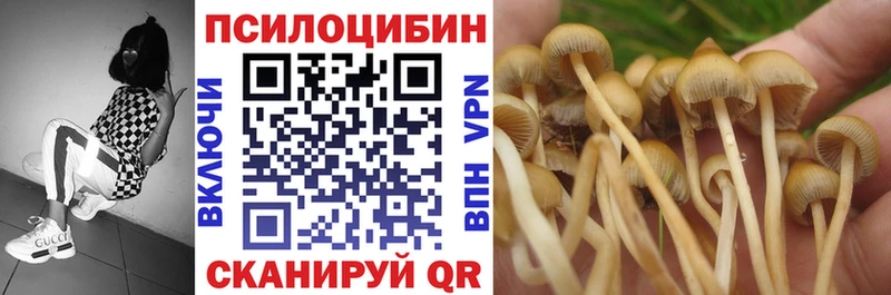 наркотики  kraken зеркало  Псилоцибиновые грибы GOLDEN TEACHER  Новосиль 