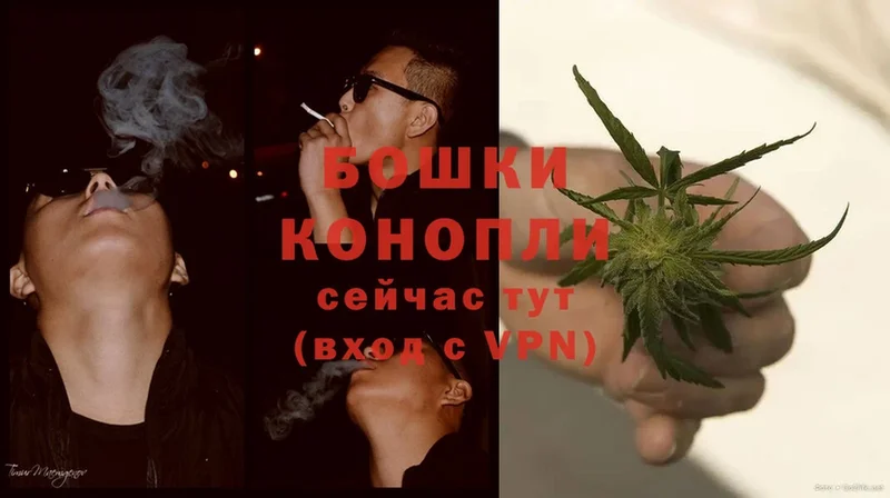 Шишки марихуана OG Kush  Новосиль 